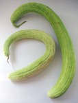 alficos