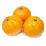 mandarina-ecologica-1-kg
