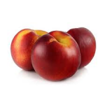 nectarina